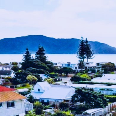 Houses on the Kāpiti Coast looking out to Kāpiti Island