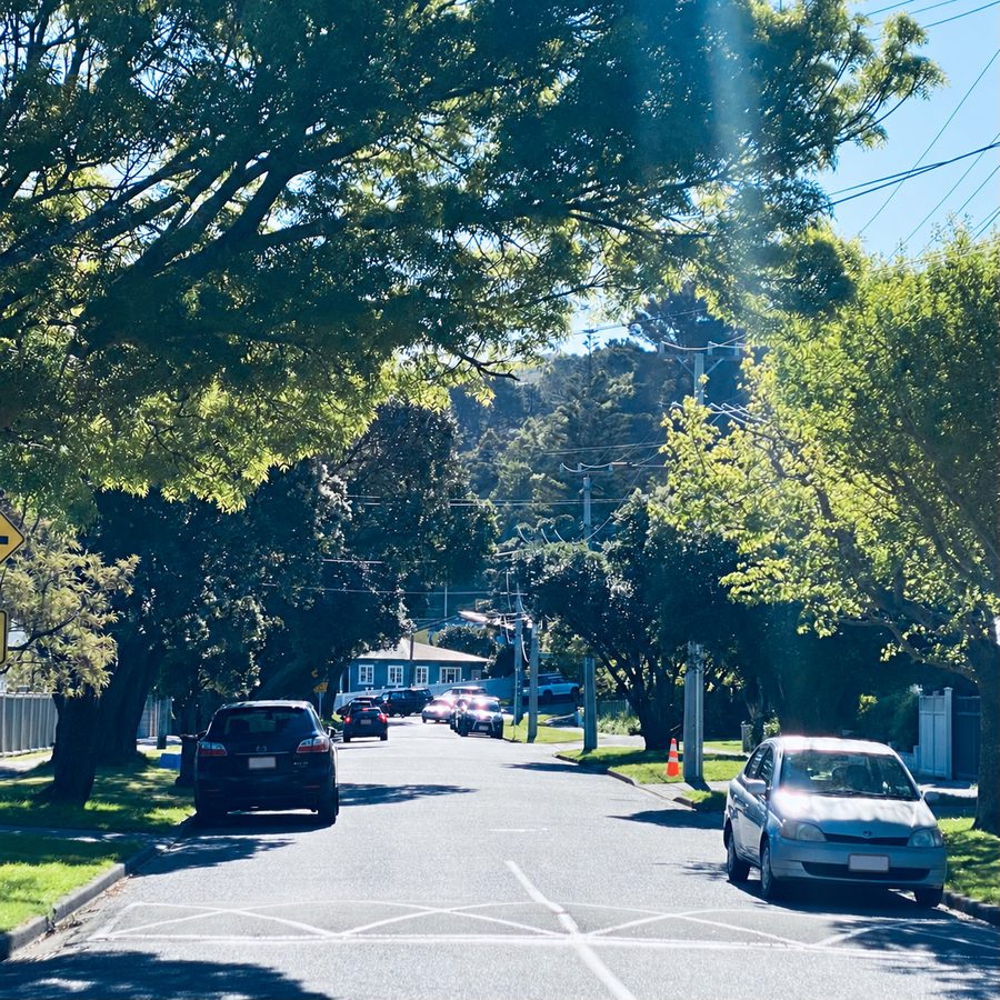 Tree-lined residential street in Lower Hutt with parked cars