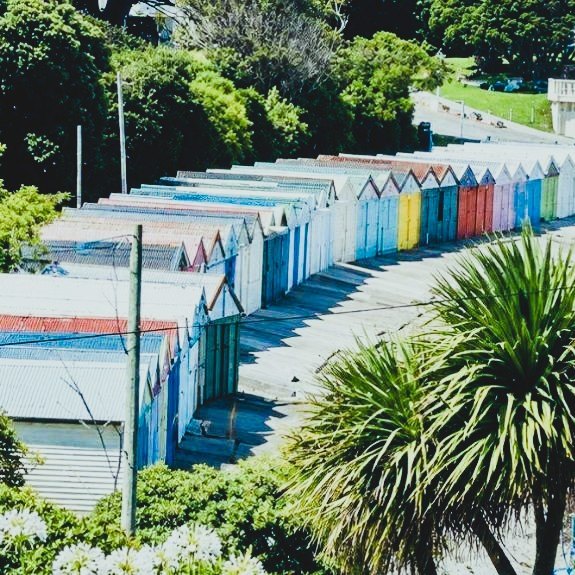 Row of colourful boatsheds by the beach in Porirua