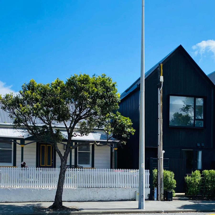 Street in Upper Hutt with a villa, a modern home and a tree on the footpath